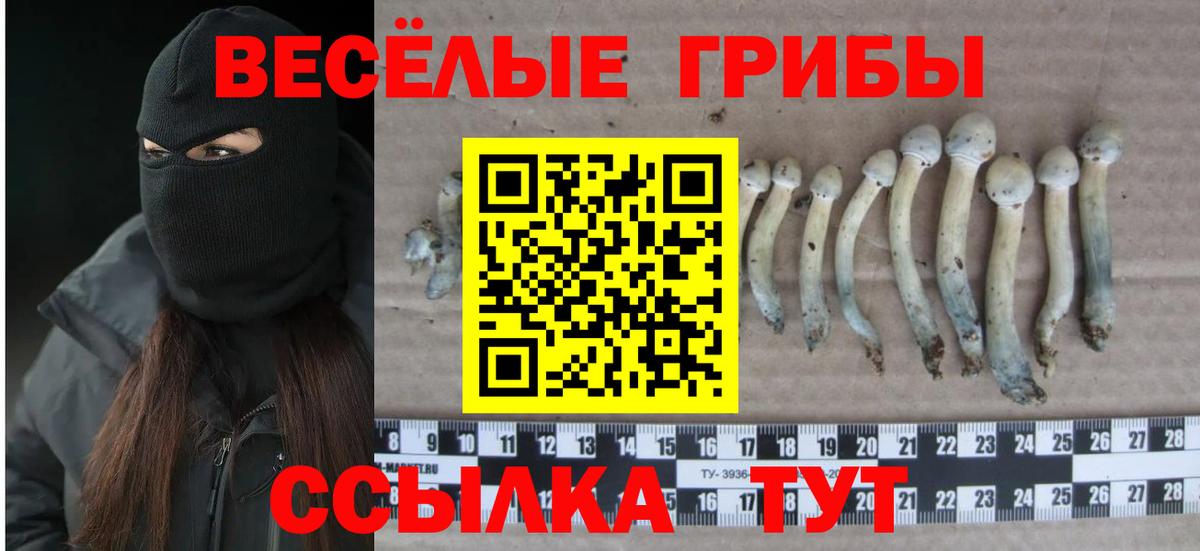 Галлюциногенные грибы ЛСД  Галлюциногенные грибы MAGIC MUSHROOMS  Новосибирск  Вход с VPN 